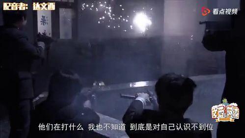 国产野战视频在线观看,全景展现我国军事实力与英勇风采  第3张