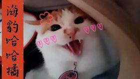 国产偷怕,揭秘镜头背后的真实情感与生活